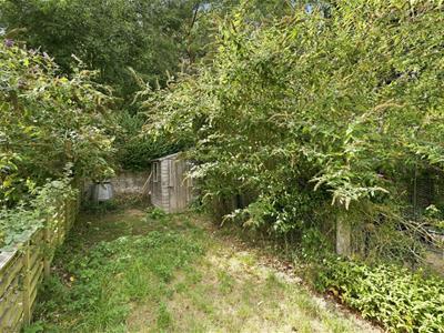 Picture 17